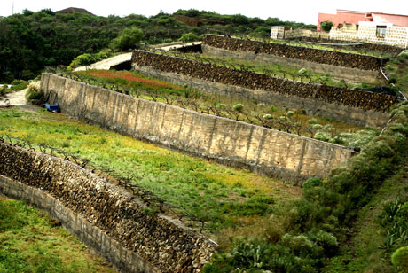 Arabic style terraced gardens with stoned sides photo