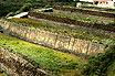 Arabic style terraced gardens with stoned sides