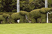 Elephants Gardening Art At Tenerife Zoo