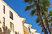 Exotic Palm Trees In Front Of Tenerife Hotel Canary Islands