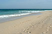 Foot Steps On The Sand