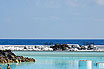 Hotel Large Swimming Pool In Tenerife