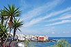 Luxuriant Landscape Near Hotels At Puerto De La Cruz Beach