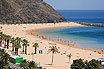 Palm Trees On A White Beach In Tenerife