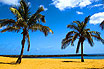 Sunny Weather And Beach Palm Trees