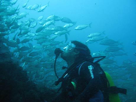 Plongee sous marine a tenerife photo